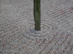 gravel circles around a tree trunk in Japan