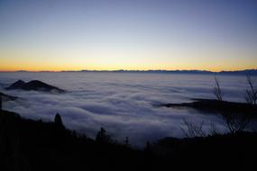 Fog Nebellandschaft Forest