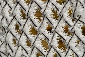 beautiful ice crusts