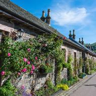 flowering plants near the facade of an old building in Scotland