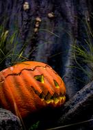 Halloween Autumn pumpkin decorating