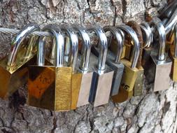 colored iron fence locks