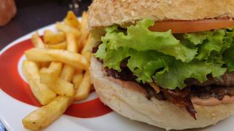 French fries and a burger