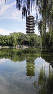 clear lake in city homes