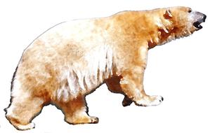 polar bear watercolor drawing