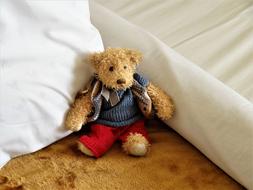 soft toy bear on the table