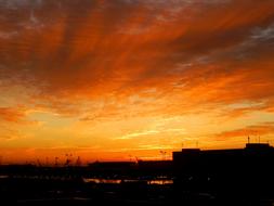 dawn morning silhouette orange