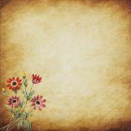 background scrapbooking paper nice flowers drawing