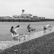 Water Bank Port
