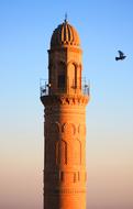 Minaret Cami and Bird in flight