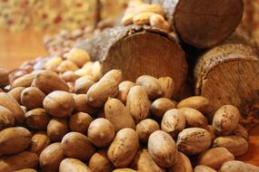 raw nut harvest