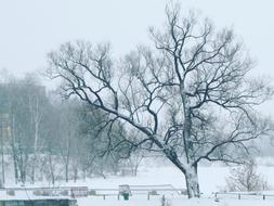 Winter Park