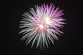 Firework Fourth Of July