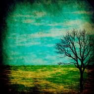 background for scrapbooking, bare tree drawing