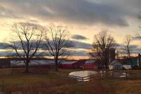 Farm Sunrise Field