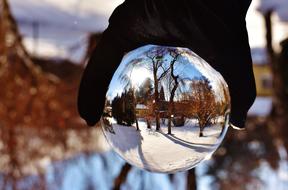 Winter Snow Garden