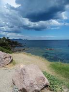 summer nature view