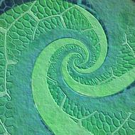 background scrapbooking paper green spiral