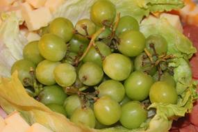 ripe green berries