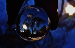Glass Ball Trees Night