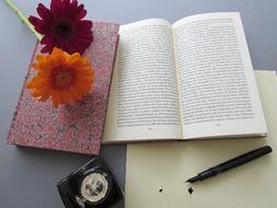 Read Books and writing ink pen