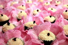 cream cupcakes in pink paper