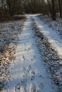Path Tracks Snow