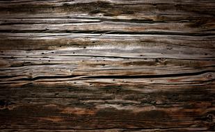 design Texture Wood Grain