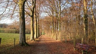 Landscape Nature South Limburg