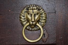 Door The Lion Knocker