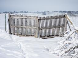 Wooden door on the beautiful, white snow, on the beautiful landscape with trees in winter