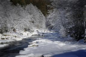 Winter Ripe Landscape