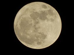 yellow moon in the night sky
