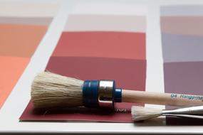 Color Patterns Trend Colors