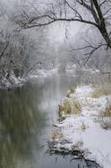 river at winter forest