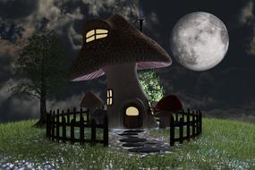 mushrooms house toxic