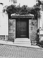 vine over entrance door of aged building, turkey, sinop