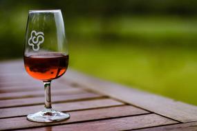 wine in glass on the table