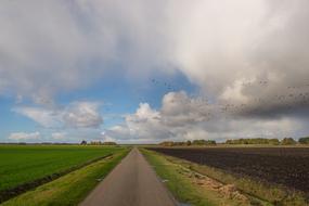 Road Dutch Sky