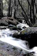 Nature Water Waterfall