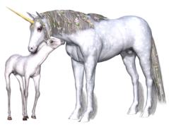 unicorn fantasy fairy tale white