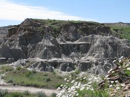 Badlands Fossils Drumheller