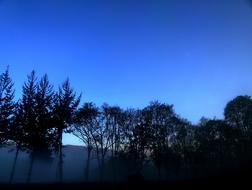 Sky and trees silhouettes Landscape