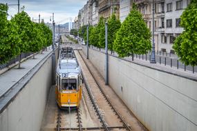 Tram Transport Transportation