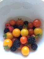 small tomatoes with berries