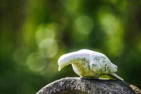 Dove Bird stone figurine