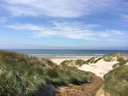 Beach of Ocean