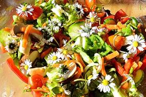 healthy colored salad