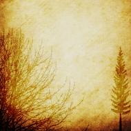 background scrapbooking paper forest drawing