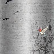 scrapbooking paper bird drawing